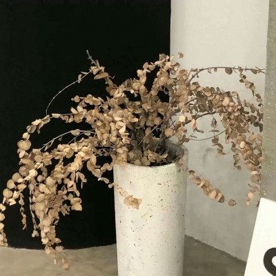 兽设动态构图思路Furry群